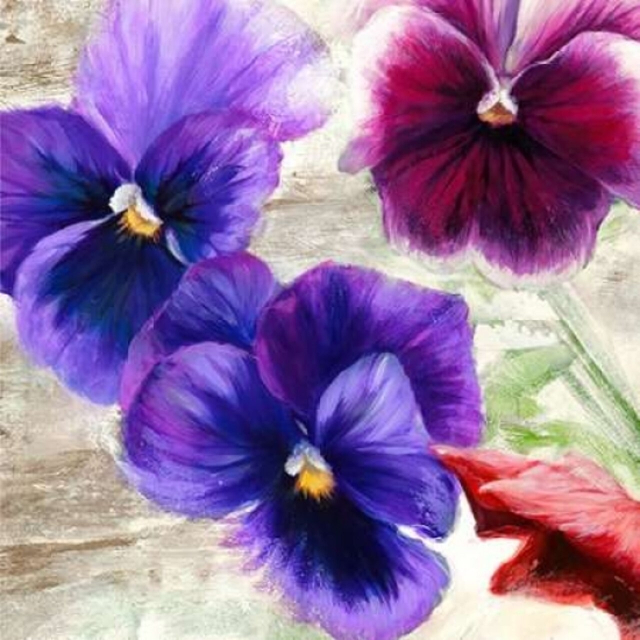 Pansies II Poster Print by Jenny Thomlinson - Item # VARPDX1JT2530